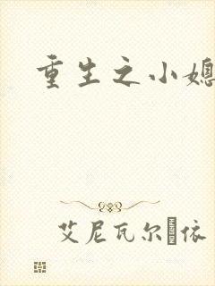 重生之小媳妇