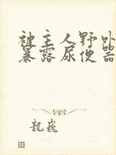 被主人野外调教暴露尿便器