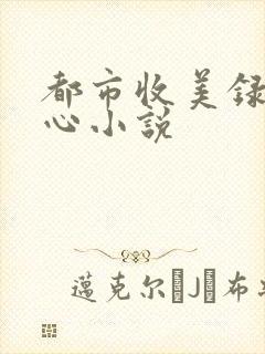 都市收美录宁素心小说