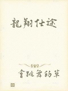 龙翔仕途