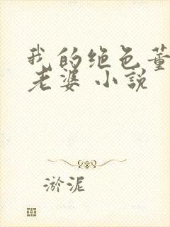 我的绝色董事长老婆 小说