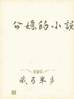 公媳的小说