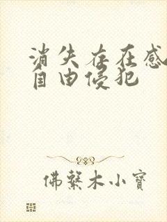 消失存在感消失自由侵犯