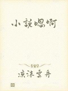 小说嗯啊
