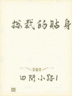 总裁的贴身女佣