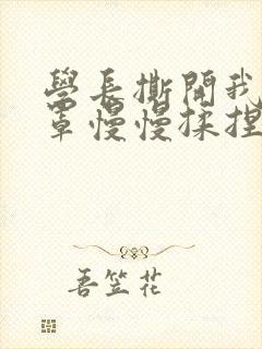 学长撕开我的乳罩慢慢揉捏小说