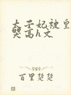 太子妃被皇上c哭高h文