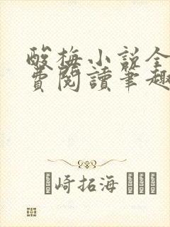 酸梅小说全文免费阅读笔趣阁