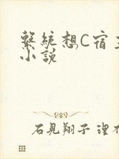 系统想C宿主的小说