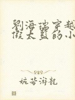 刘海瑞穿越后宫假太监的小说