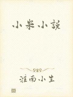 小米小说