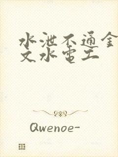 水泄不通金银原文水电工