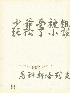 少爷受被粗汉H玩松了小说