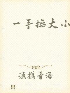 一手抚大小说