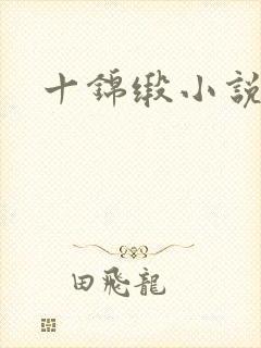 十锦缎小说