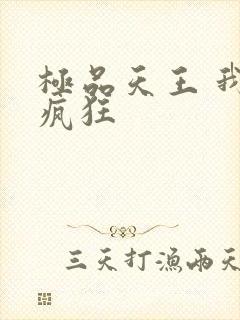 极品天王 我本疯狂