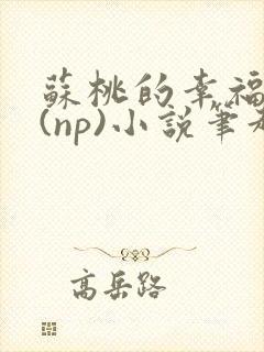 苏桃的幸福生活(np)小说笔趣阁