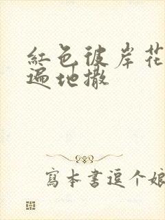 红色彼岸花花瓣遍地撒