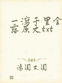 一泻千里金银花露原文txt