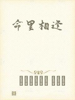 命里相逢