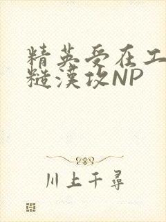 精英受在工地被糙汉攻NP