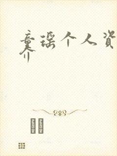 童瑶个人资料简介