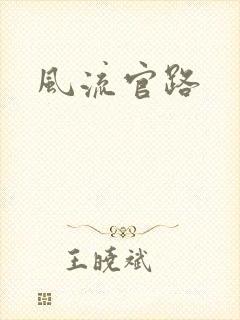 风流官路