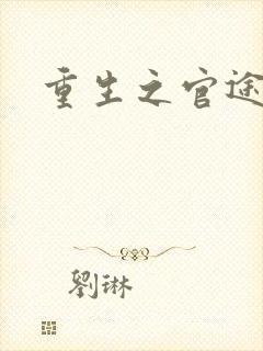 重生之官途辉煌