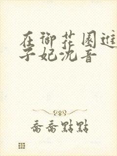 在御花园进入太子妃沈音