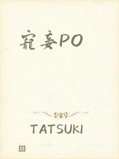 宠妾PO