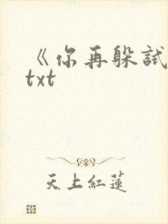 《你再躲试试》txt