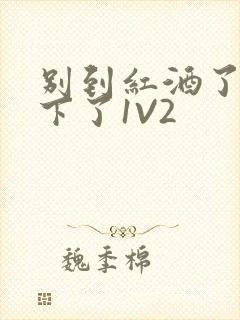 别到红酒了装不下了1V2