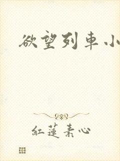 欲望列车小说