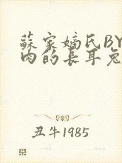 苏家嫡氏BY吃肉的长耳兔