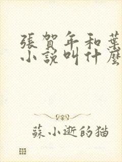 张贺年和叶繁姿小说叫什么名字