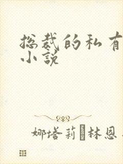 总裁的私有宝贝小说