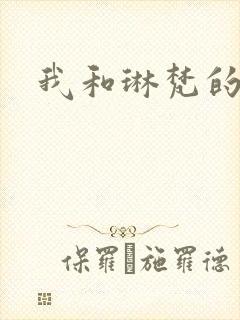 我和琳梵的故事