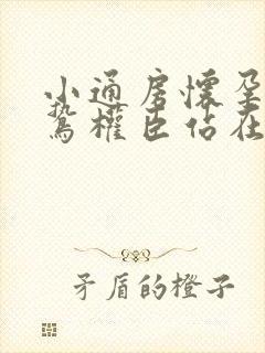 小通房怀孕了阴鸷权臣站在身前