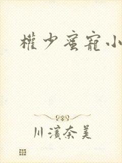 权少蜜宠小娇妻