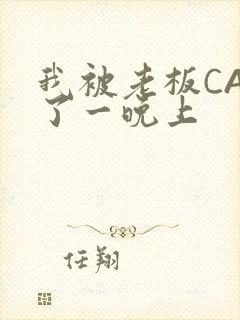 我被老板CAO了一晚上