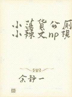 小荡货公厕h文小辣文np视频