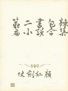 第二书包辣网短篇小说合集