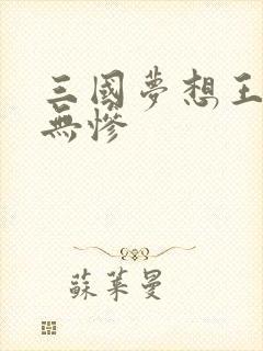 三国梦想王元姬无惨