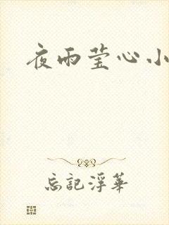 夜雨莹心小说