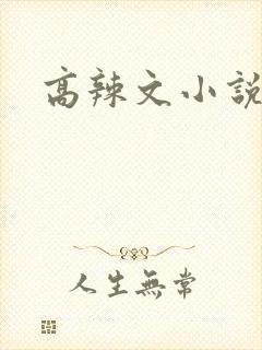 高辣文小说
