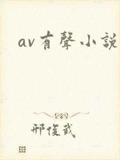 av有声小说