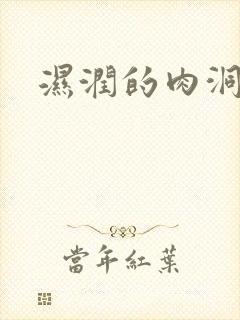 湿润的肉洞