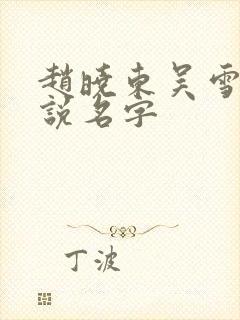 赵晓东吴雪晴小说名字