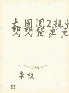 大团圆2亲情会闪闪发光免费