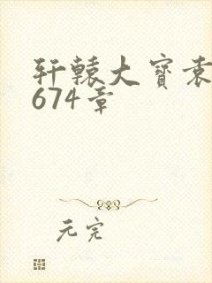 轩辕大宝袁雪妃674章